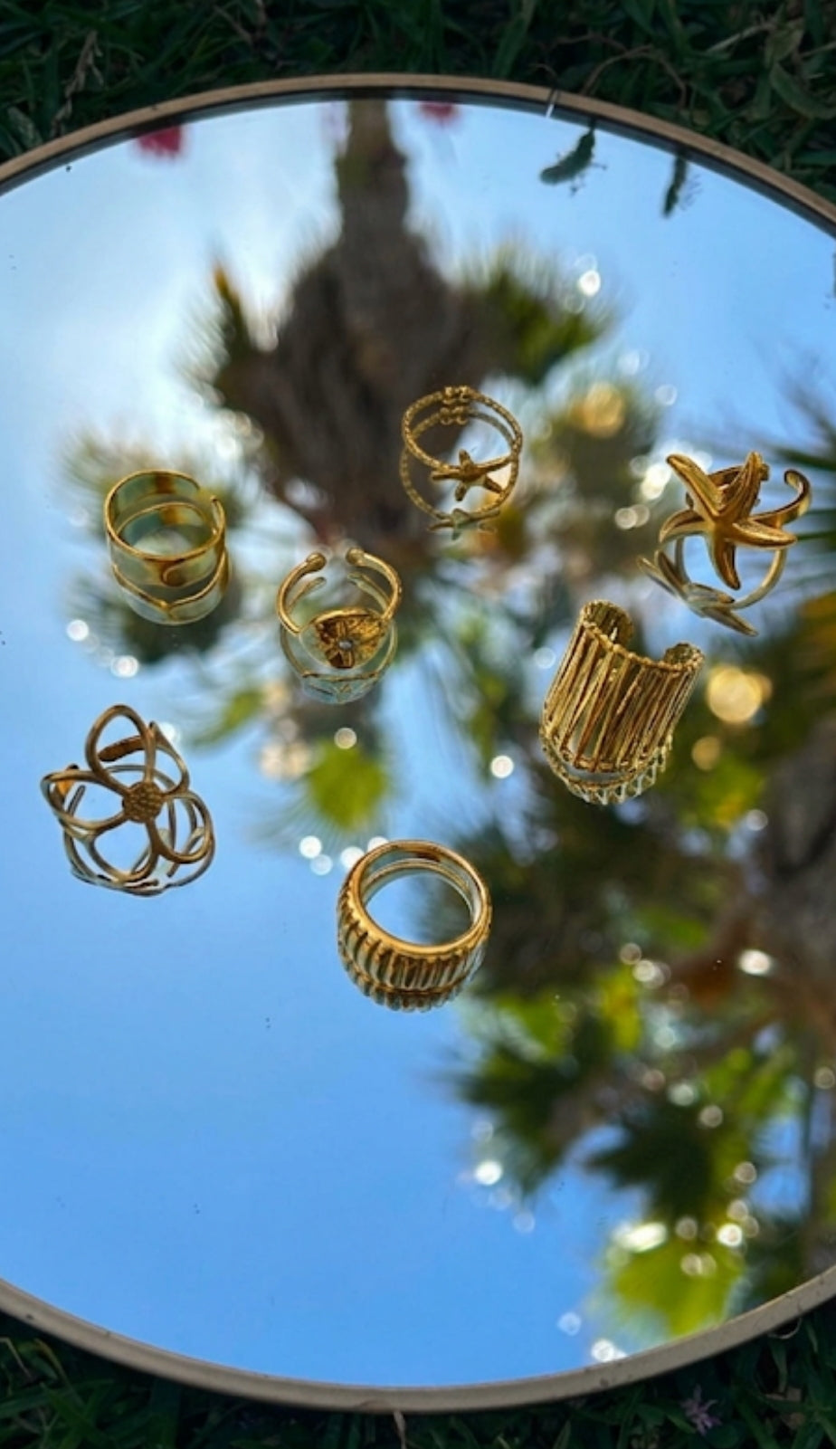Anillos Acero Inoxidable