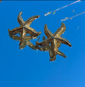 Pendientes Estrella de Mar